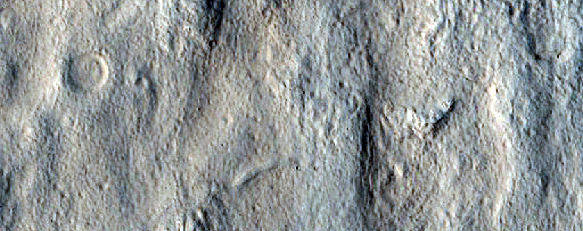 Utopia Planitia Survey