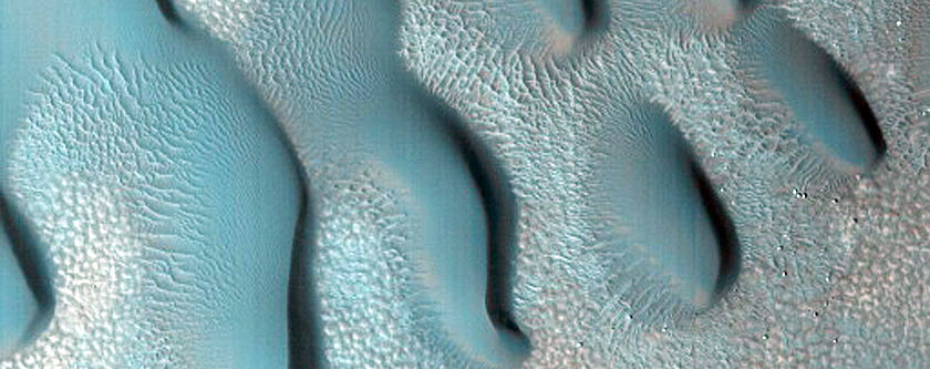Dune Monitoring in Crater