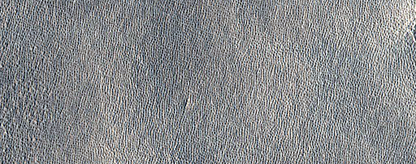 Arcadia Planitia Survey