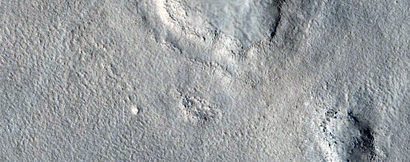 Utopia Planitia Survey