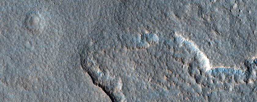 Arcadia Planitia Survey