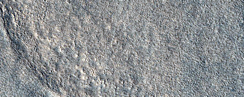 Utopia Planitia Survey