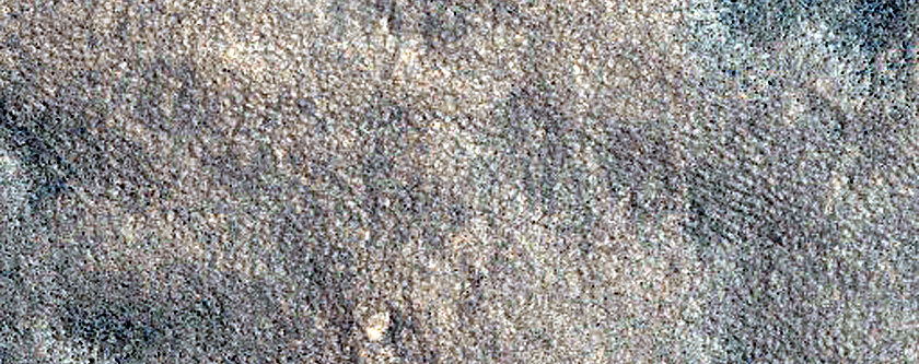 Protonilus Mensae Survey