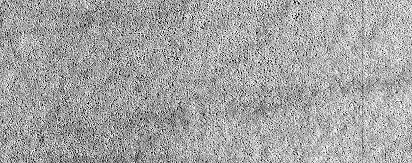 Utopia Planitia Survey
