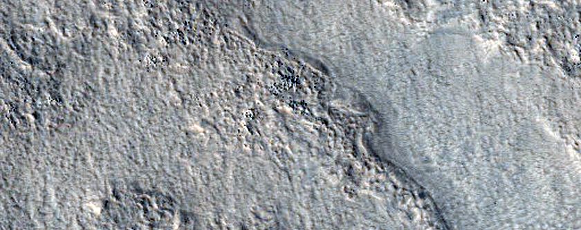 Utopia Planitia Survey