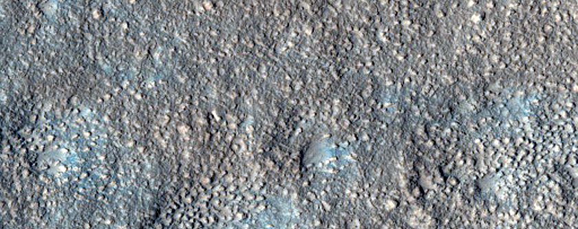 Arcadia Planitia Survey