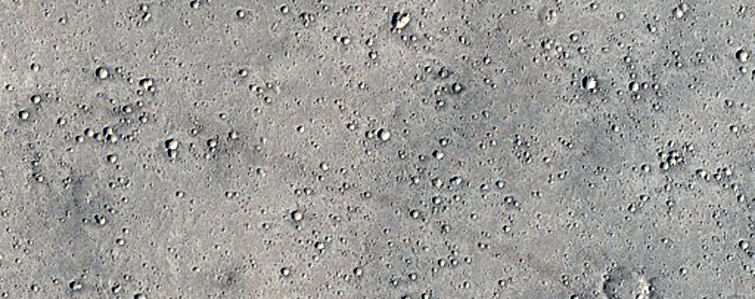 Elysium Planitia