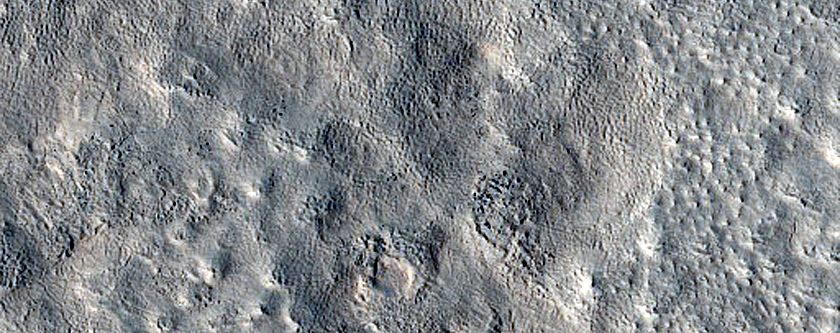 Utopia Planitia Survey