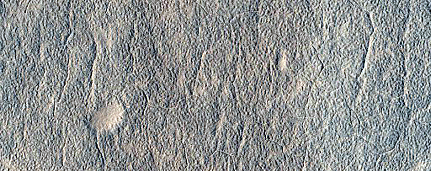 Contact in Utopia Planitia