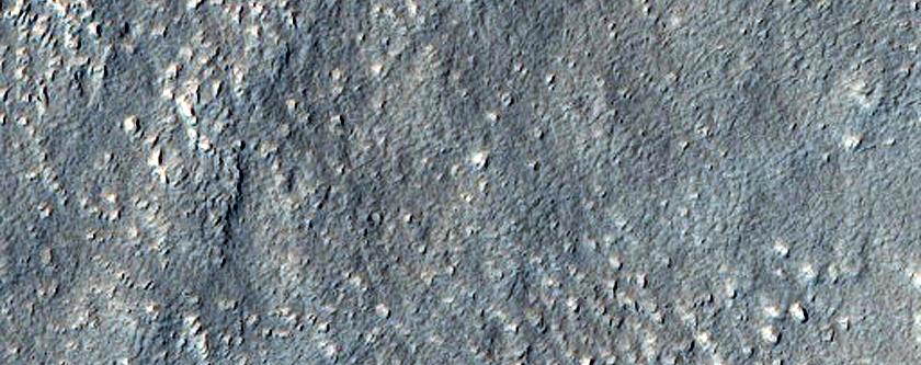 Survey near Protonilus Mensae