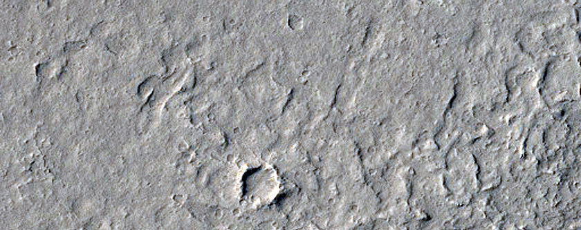 Sacra Sulci Lava