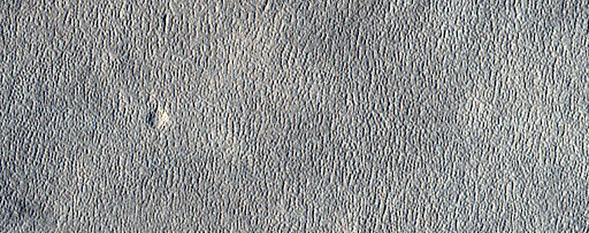 Arcadia Planitia Survey