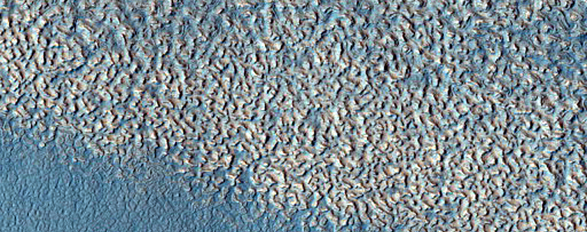 Impact Monitoring in Arcadia Planitia