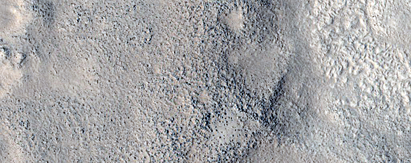 Utopia Planitia Survey