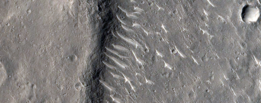 Curvilinear Ridges in Isidis Planitia