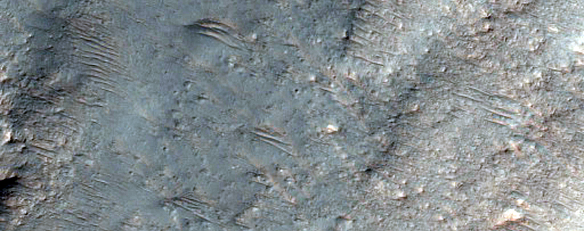 Possible Impact Melt Breccias within Saheki Ejecta Blanket
