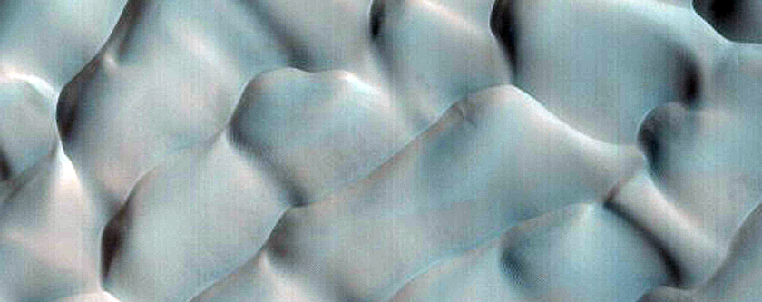 Dune Monitoring in Crater