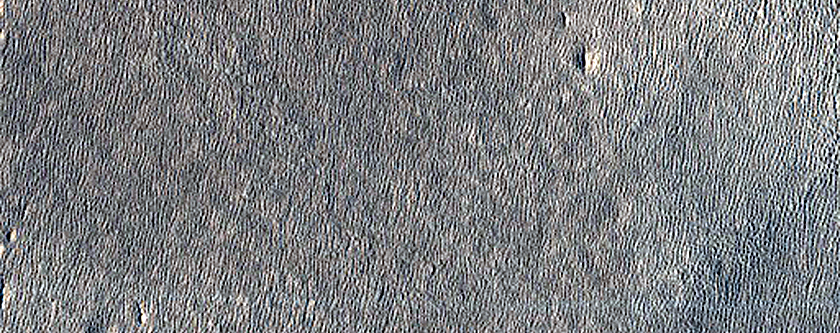 Arcadia Planitia Survey