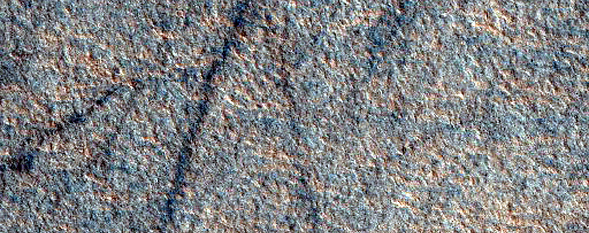 Utopia Planitia Survey