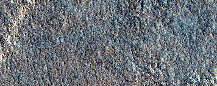 Arcadia Planitia Survey