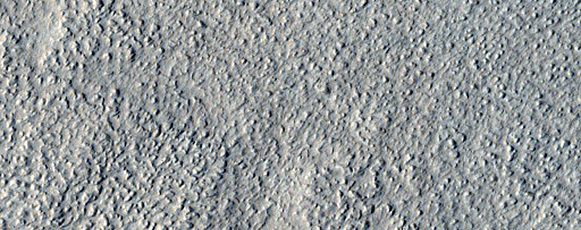 Secondary Craters Associated with Large Fresh Impact in Amazonis Planitia