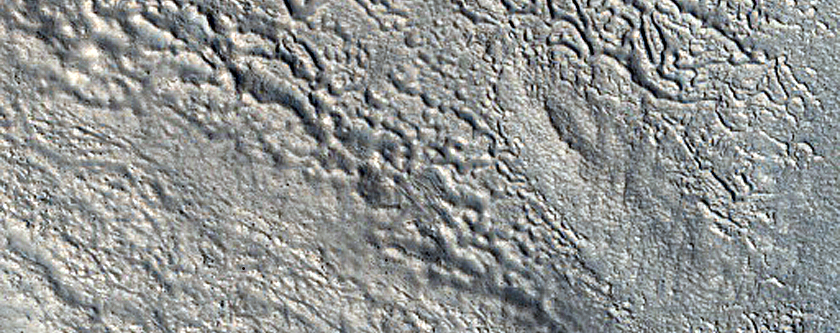Gullies and Albedo Contacts in Nier Crater