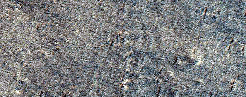 Terrain Sample