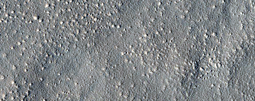 Arcadia Planitia Survey