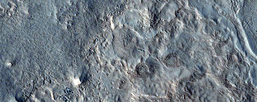 Utopia Planitia Survey