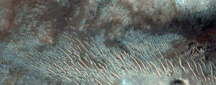 Northern Terra Cimmeria