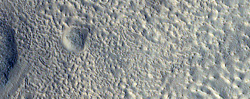 Utopia Planitia Survey