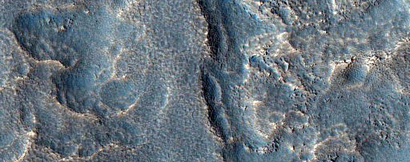 Utopia Planitia Survey