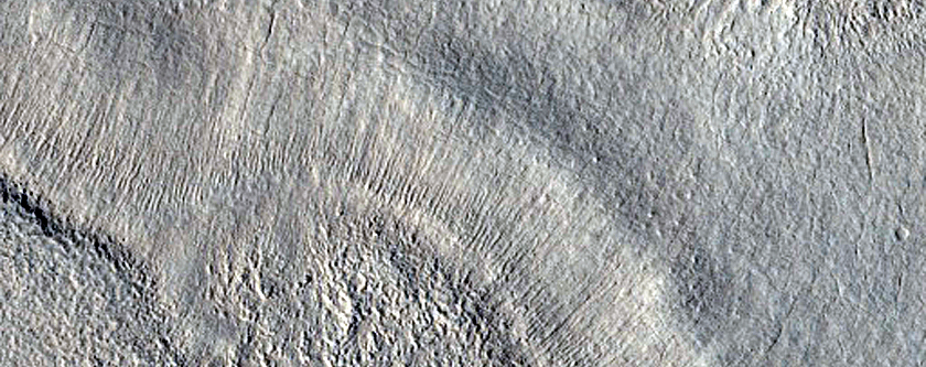 Utopia Planitia Survey