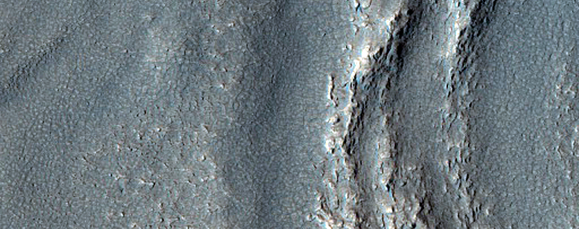 Flow with Two Lobes in Protonilus Mensae