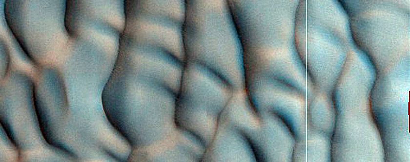 Dune Monitoring in Lomonosov Crater