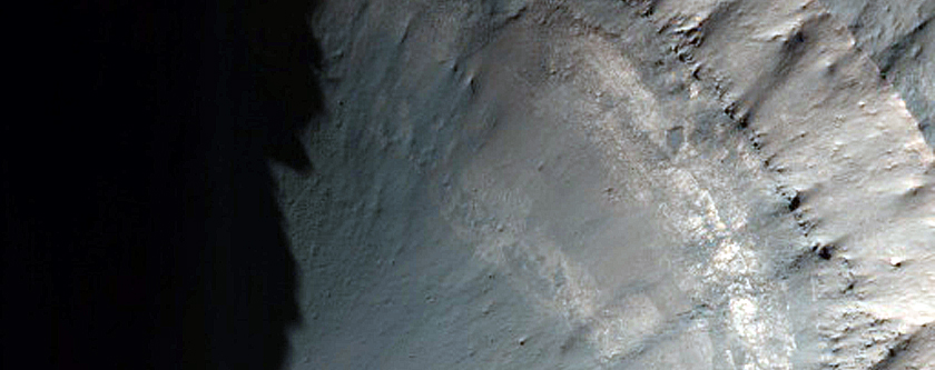 Bright Materials in Crater Walls