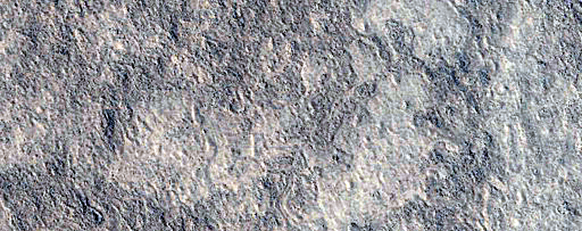 Utopia Planitia Survey