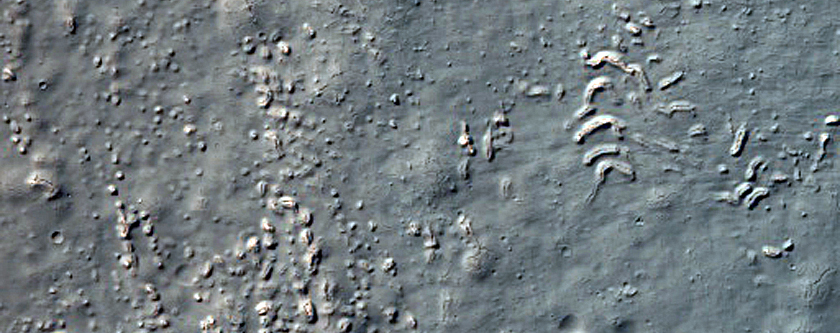 Concentric Crater Fill in Thaumasia Region