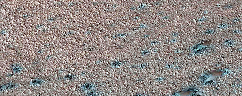 Ice-Dune Interaction Survey in West Olympia Region