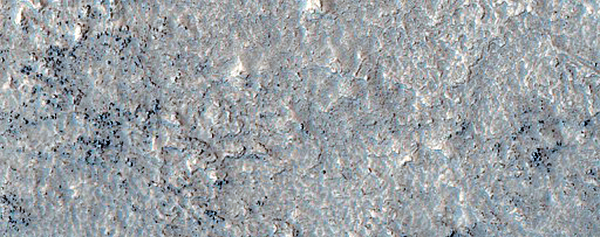 Protonilus Mensae Survey