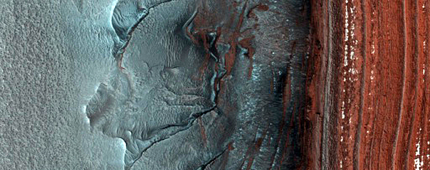 Monitor North Polar Scarp for Active Frost-Dust Avalanches