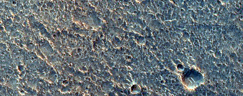 Crater-Edge Mounds in Chryse Planitia