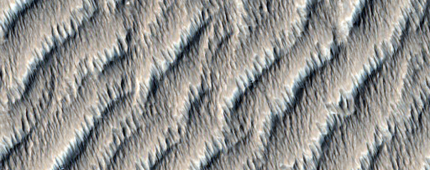 Terrain between Olympus Mons and Daedalia Planum
