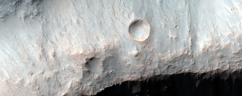 Spectrally Distinct Materials on Terra Sirenum Plains