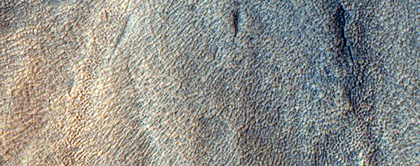 Protonilus Mensae Survey