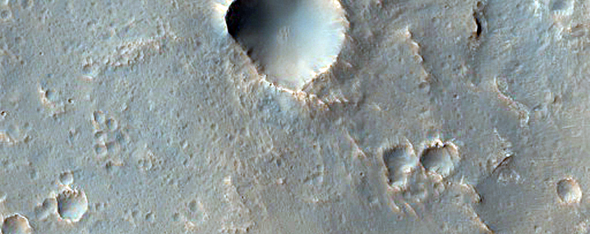 Mawrth Vallis Phyllosilicate Detection