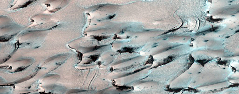 North Polar Residual Ice and Defrosting Dunes