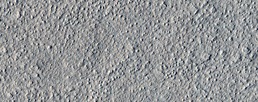 Secondary Craters Associated with Large Fresh Impact in Amazonis Planitia