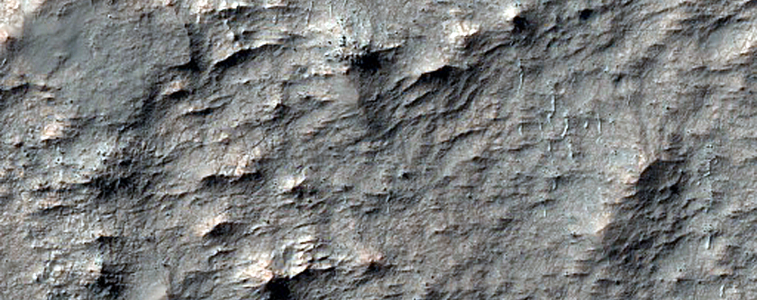 Large Phyllosilicate Deposit near Magelhaens Crater