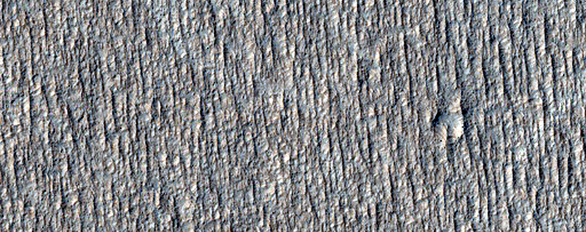 Terrain Sample